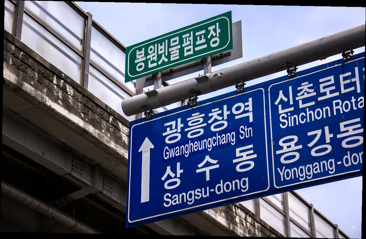 실전! 나만의 '한소' 만들기 레벨업 프로젝트