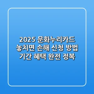 2025 문화누리카드: 놓치면 손해! 신청 방법, 기간, 혜택 완전 정복