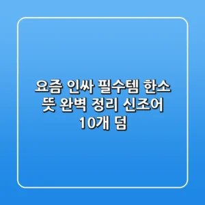 요즘 인싸 필수템 '한소' 뜻? 완벽 정리 (신조어 10개 덤!)