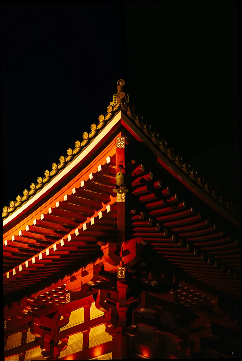 💡 두 배로 즐기자! 창경궁 야간개장 관람 꿀팁 대방출!
