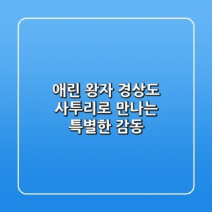애린 왕자: 경상도 사투리로 만나는 특별한 감동