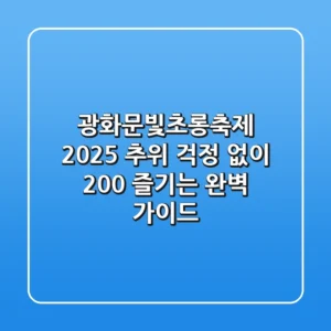 광화문빛초롱축제 2025, 추위 걱정 없이 200% 즐기는 완벽 가이드
