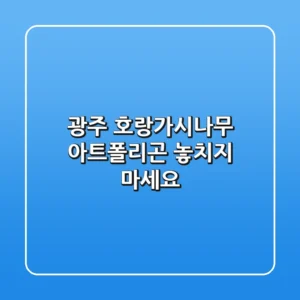 광주 호랑가시나무 아트폴리곤, 놓치지 마세요!