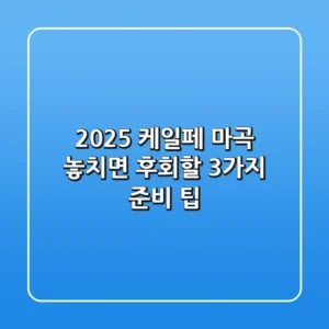 2025 케일페 마곡, 놓치면 후회할 3가지 준비 팁