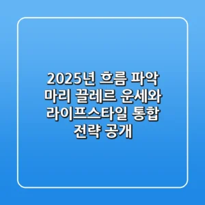 "2025년 흐름 파악", 마리 끌레르 운세와 라이프스타일 통합 전략 공개