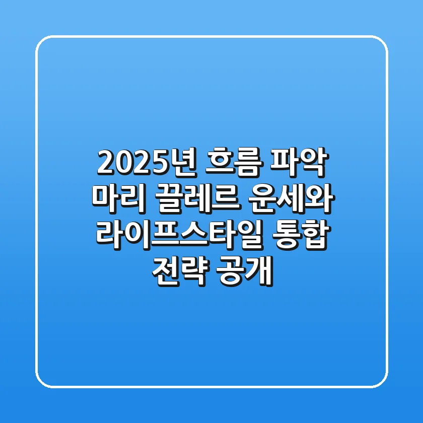 "2025년 흐름 파악", 마리 끌레르 운세와 라이프스타일 통합 전략 공개