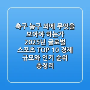 "축구, 농구 외에 무엇을 보아야 하는가?", 2025년 글로벌 스포츠 TOP 10: 경제 규모와 인기 순위 총정리
