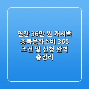 "연간 36만 원 캐시백", 충북문화소비 365 조건 및 신청 완벽 총정리